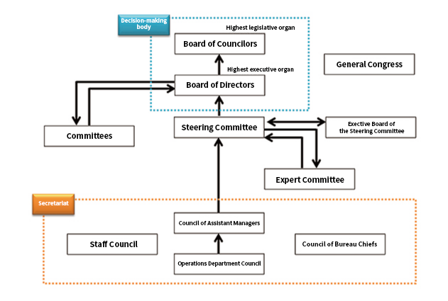 Governing Organization/Organizational Structure