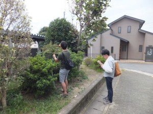 植栽の高さや奥行まできちんと測ります。